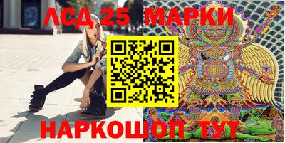 spice Брянск
