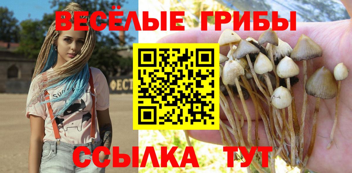 Галлюциногенные грибы мицелий Раменское